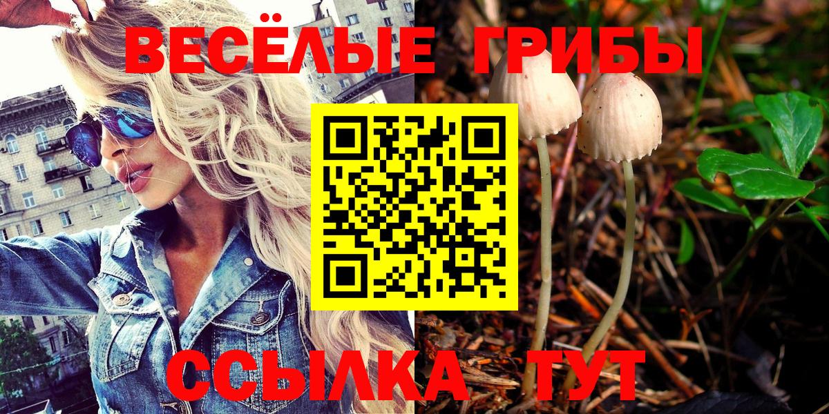 Аргун  Псилоцибиновые грибы GOLDEN TEACHER  Вход с VPN  Псилоцибиновые грибы GOLDEN TEACHER 